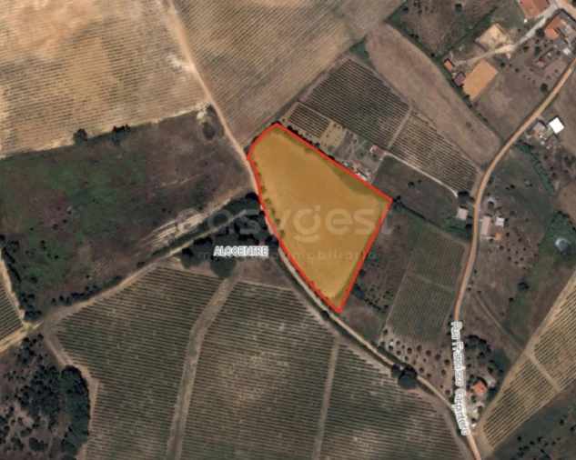 Terreno Agricola ou Rústico para Venda em Alcoentre Foto 2
