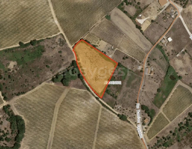 Terreno Agricola ou Rústico para Venda em Alcoentre Foto 3