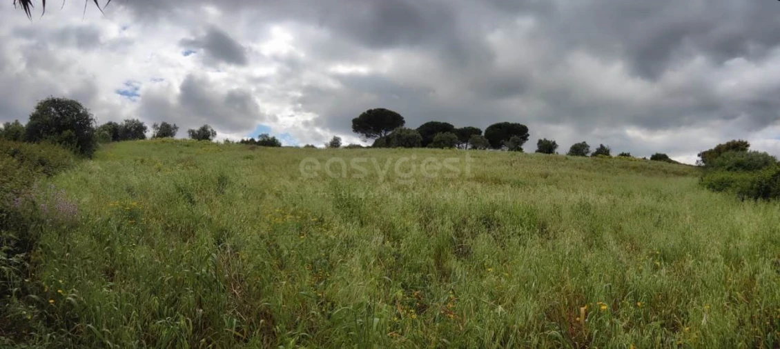 Terreno Agricola ou Rústico para Venda em Alcoentre Foto 4