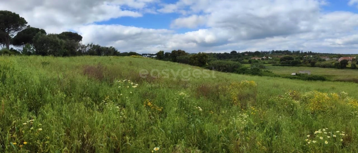 Terreno Agricola ou Rústico para Venda em Alcoentre Foto 8
