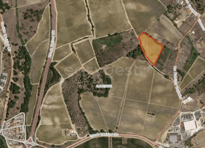 Terreno Agricola ou Rústico para Venda em Alcoentre Foto 9