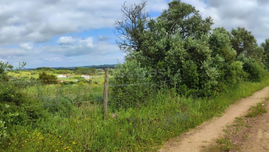 Terreno Agricola ou Rústico para Venda em Alcoentre Foto 12