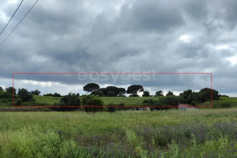 Terreno Agricola ou Rústico para Venda em Alcoentre Foto 13