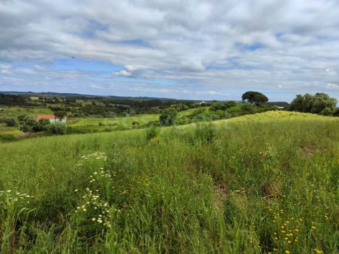 Terreno Agricola ou Rústico para Venda em Alcoentre Foto 14