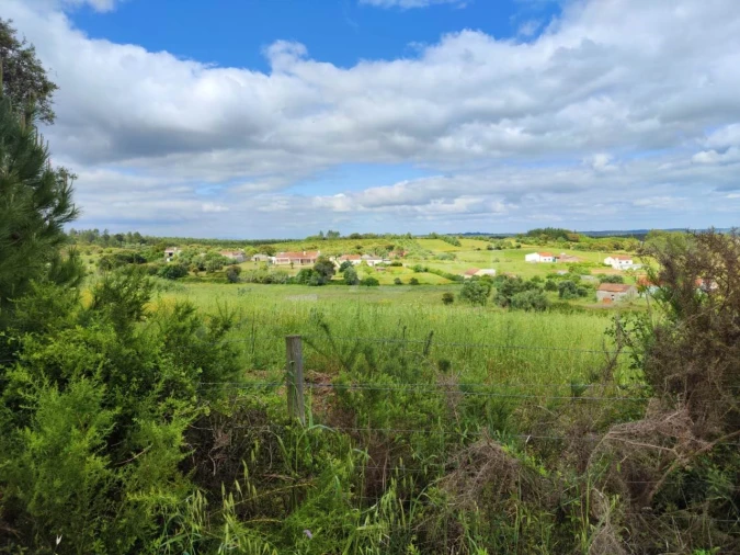 Terreno Agricola ou Rústico para Venda em Alcoentre Foto 15