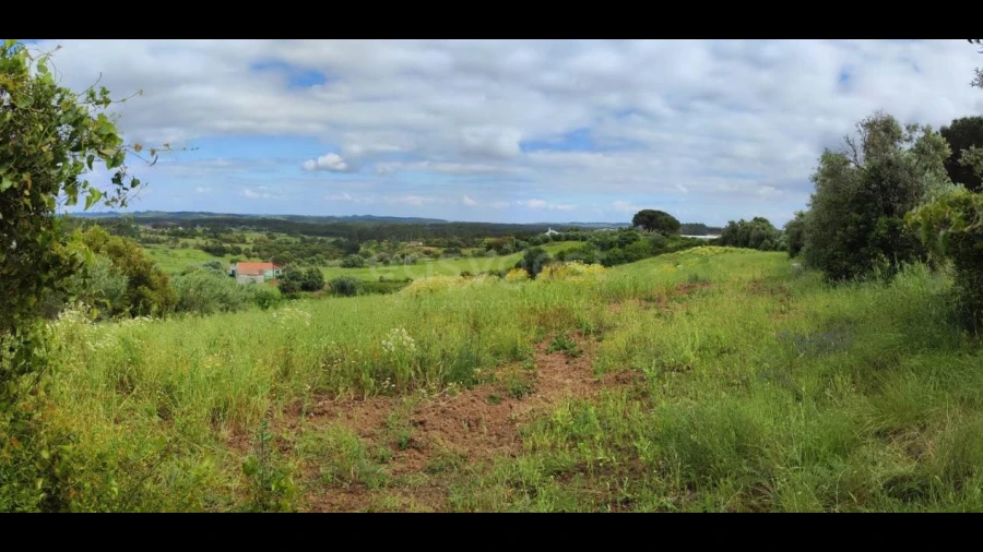 Terreno Agricola ou Rústico para Venda em Alcoentre
