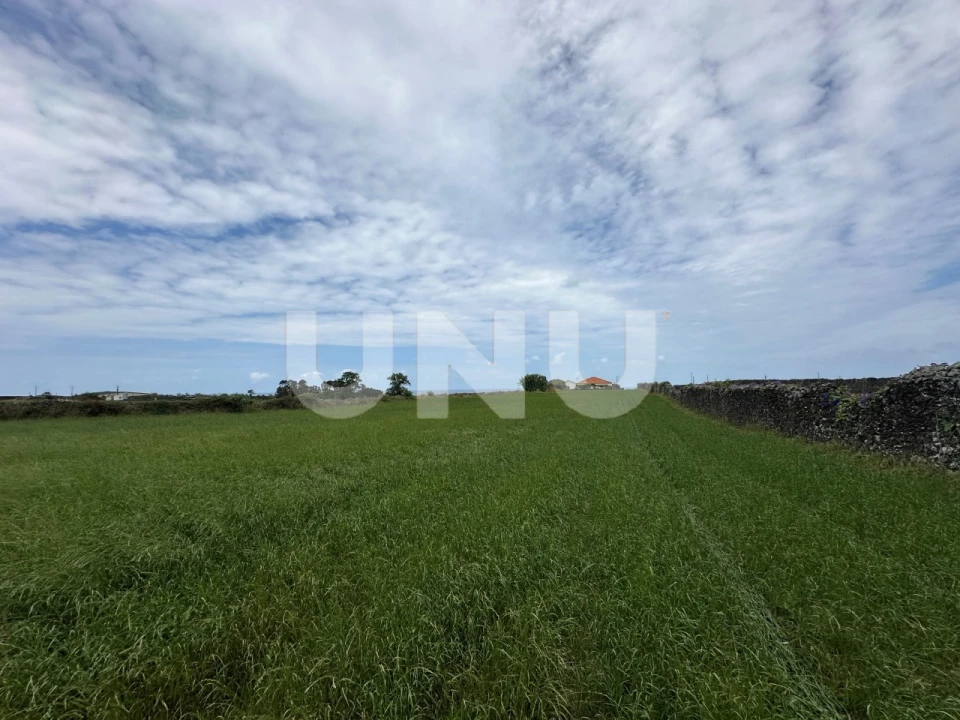 Terreno Misto para Venda em Pico da Pedra Foto 5