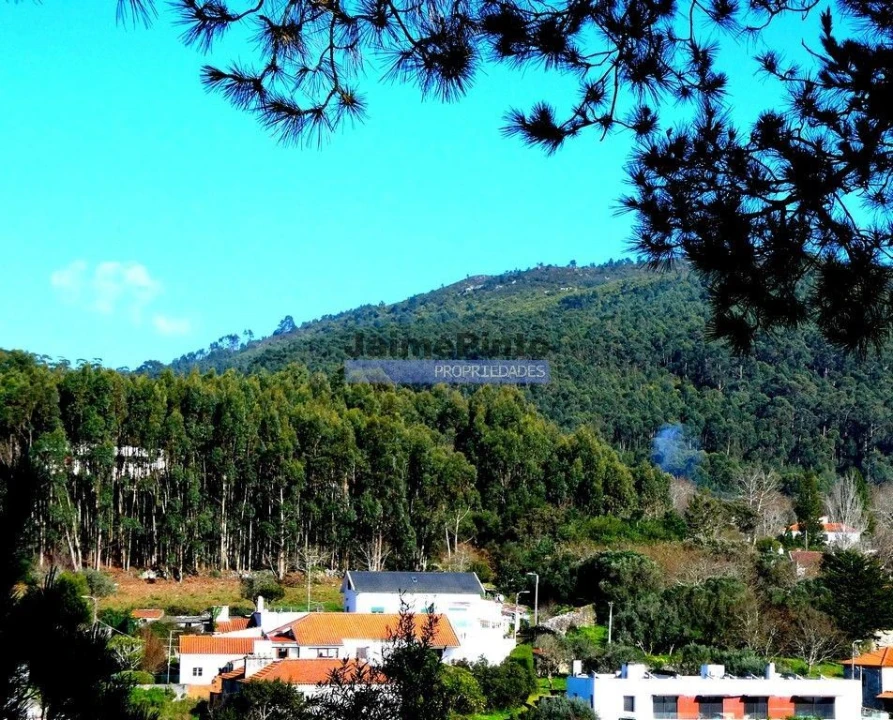 Terreno para Venda em Afife Foto 4
