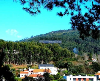 Terreno para Venda em Afife