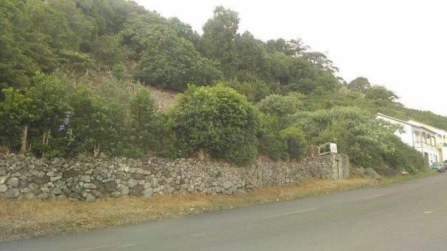 Terreno Misto para Venda em Fontinhas Foto 21