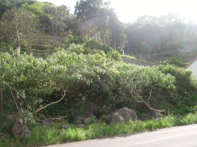 Terreno Misto para Venda em Fontinhas Foto 14