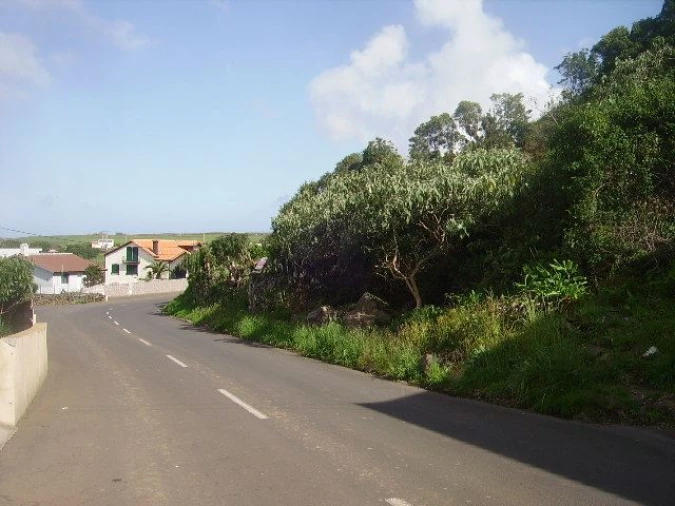 Terreno Misto para Venda em Fontinhas Foto 19