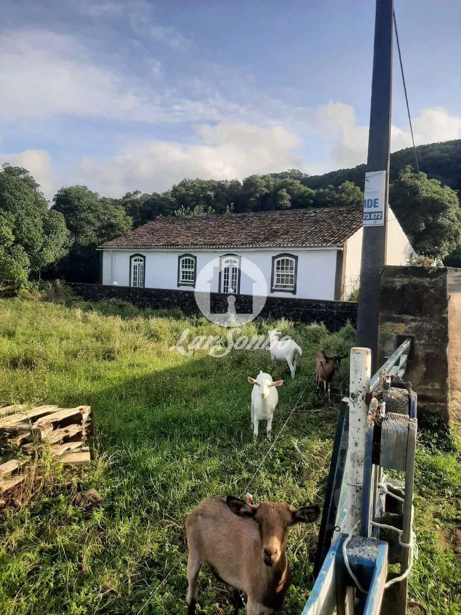 Terreno Misto para Venda em Fontinhas Foto 7