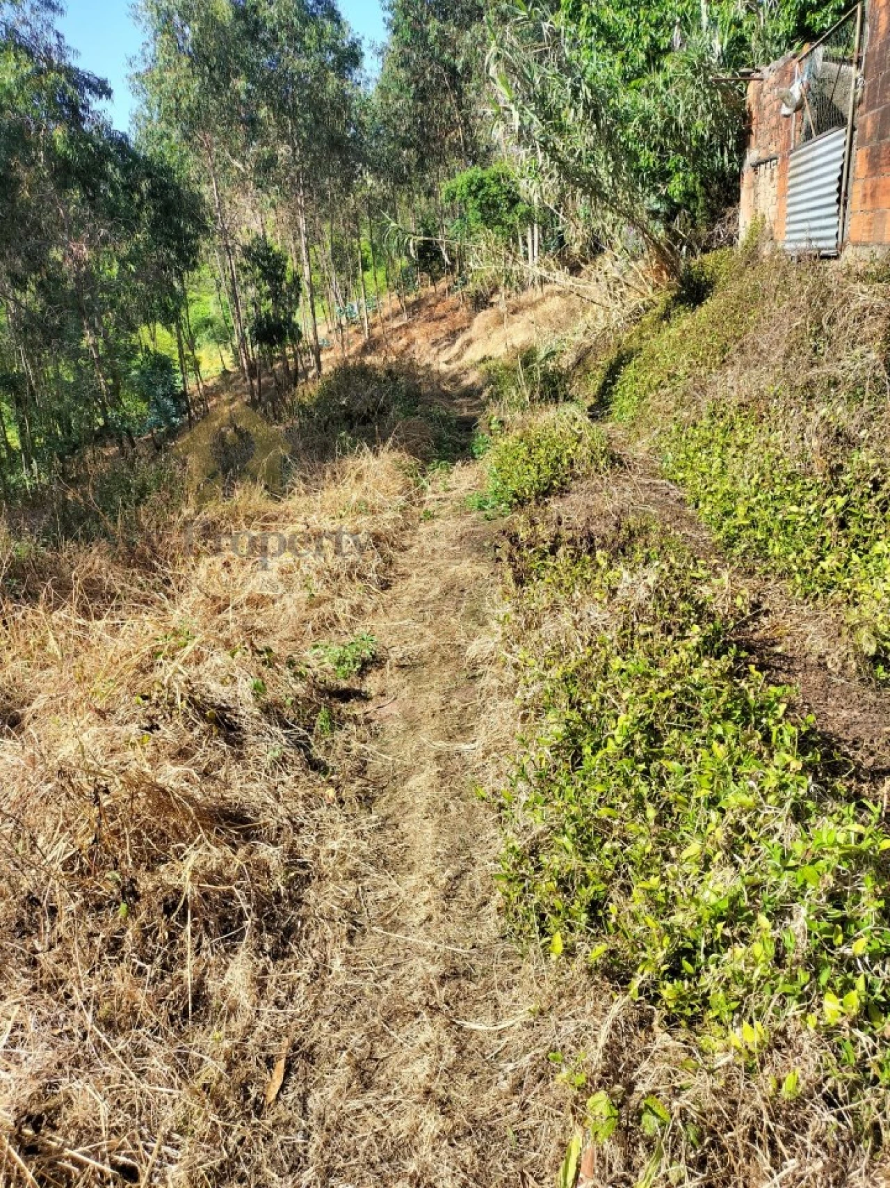 Terreno para Venda em Luso Foto 11