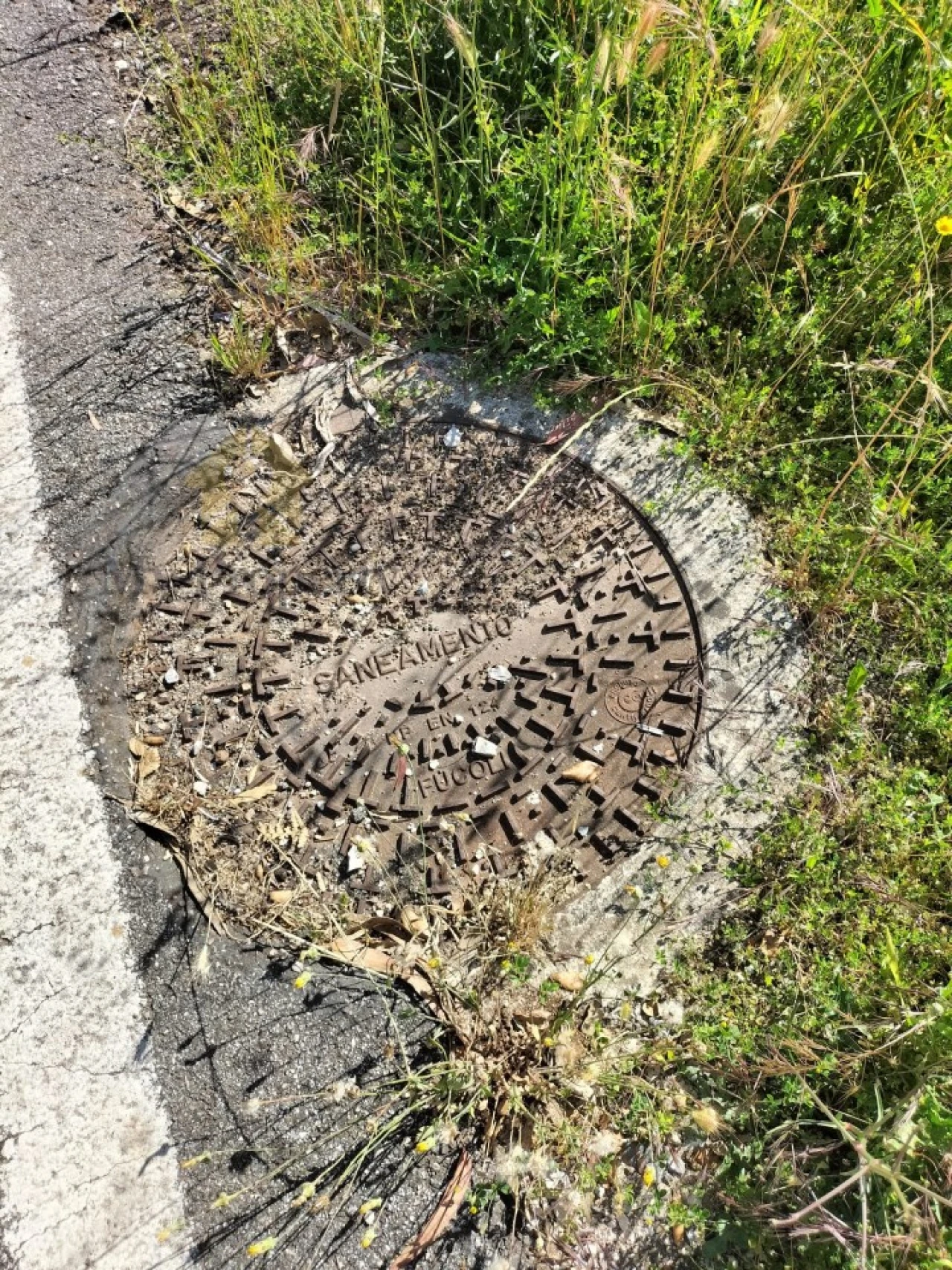 Terreno para Venda em Luso Foto 15