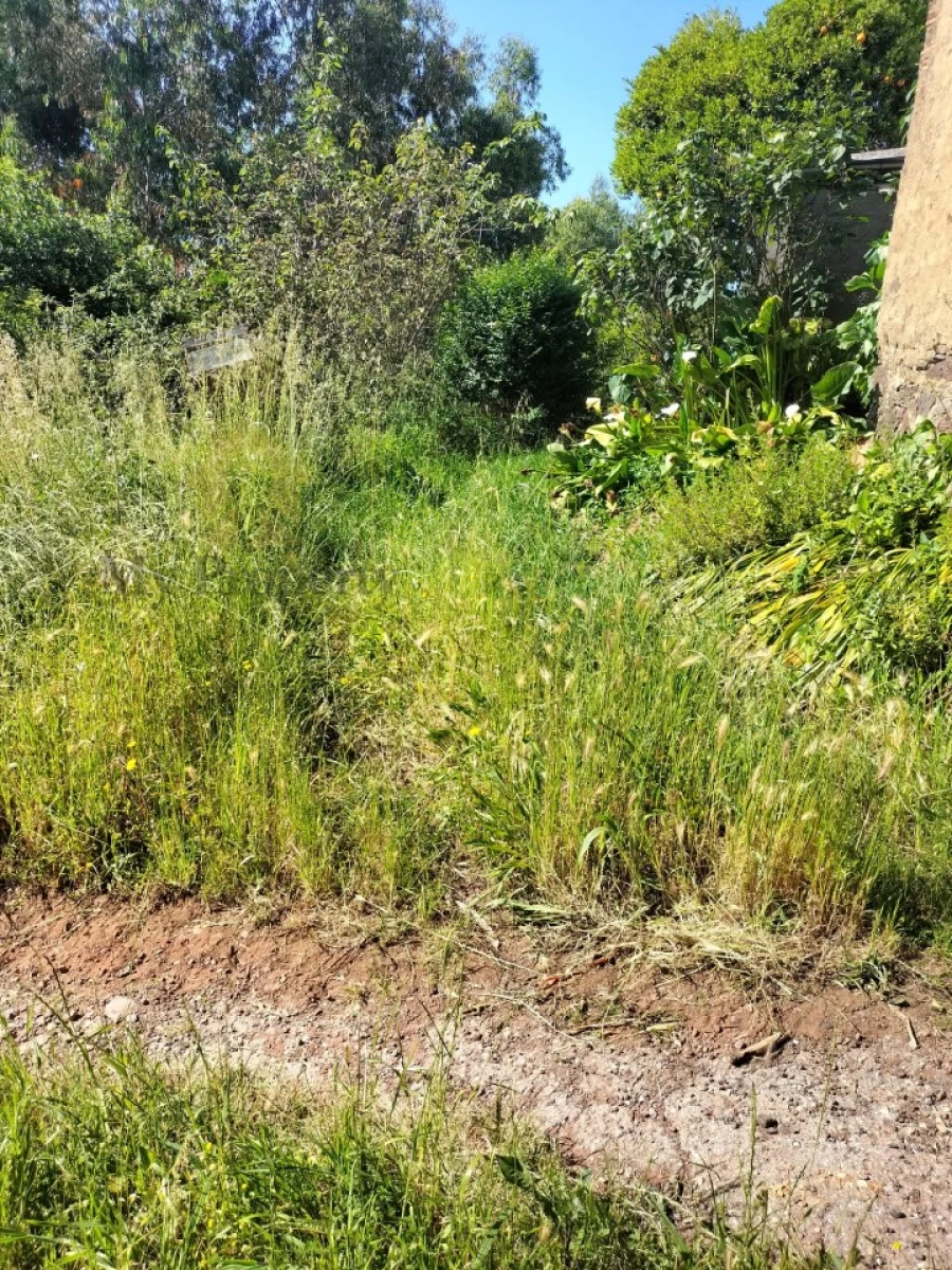 Terreno para Venda em Luso Foto 14