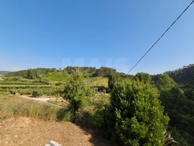 Moradia T3 para Venda em Salir de Matos Foto 8