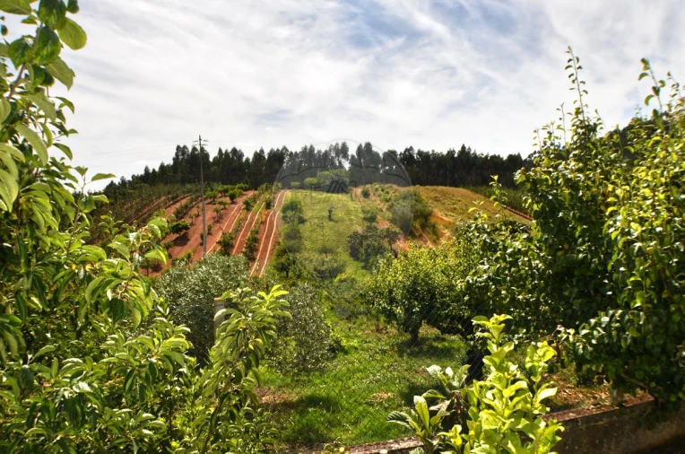 Moradia T4 para Venda em Alguber Foto 13