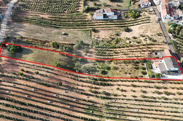 Moradia T4 para Venda em Alguber Foto 47