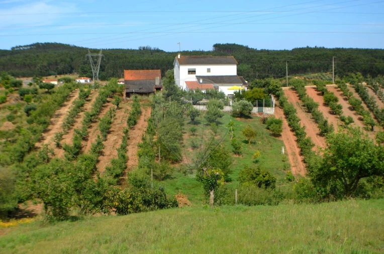 Moradia T4 para Venda em Alguber Foto 45