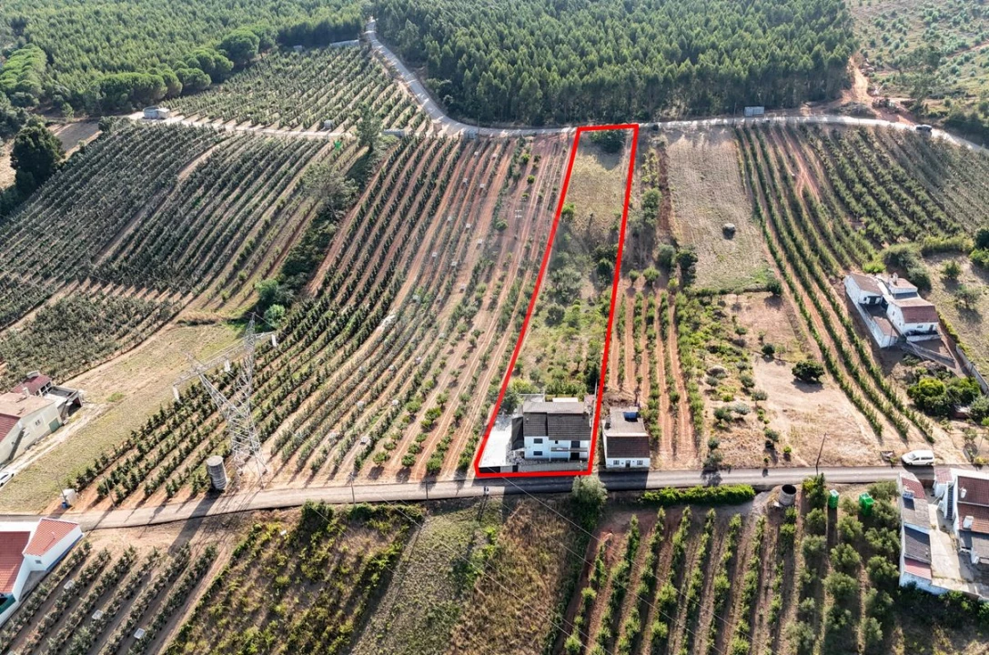 Moradia T4 para Venda em Alguber Foto 49