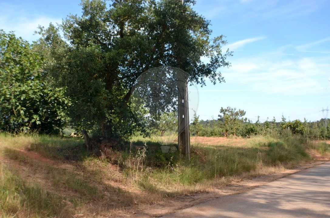 Moradia T4 para Venda em Alguber Foto 47