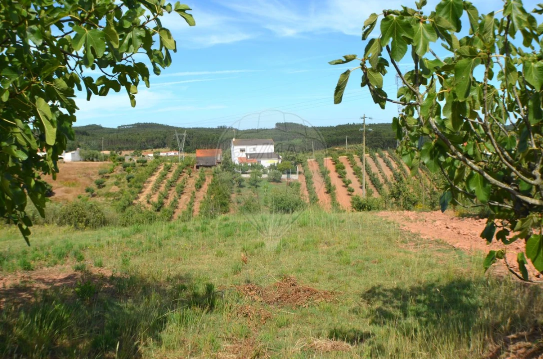 Moradia T4 para Venda em Alguber Foto 45