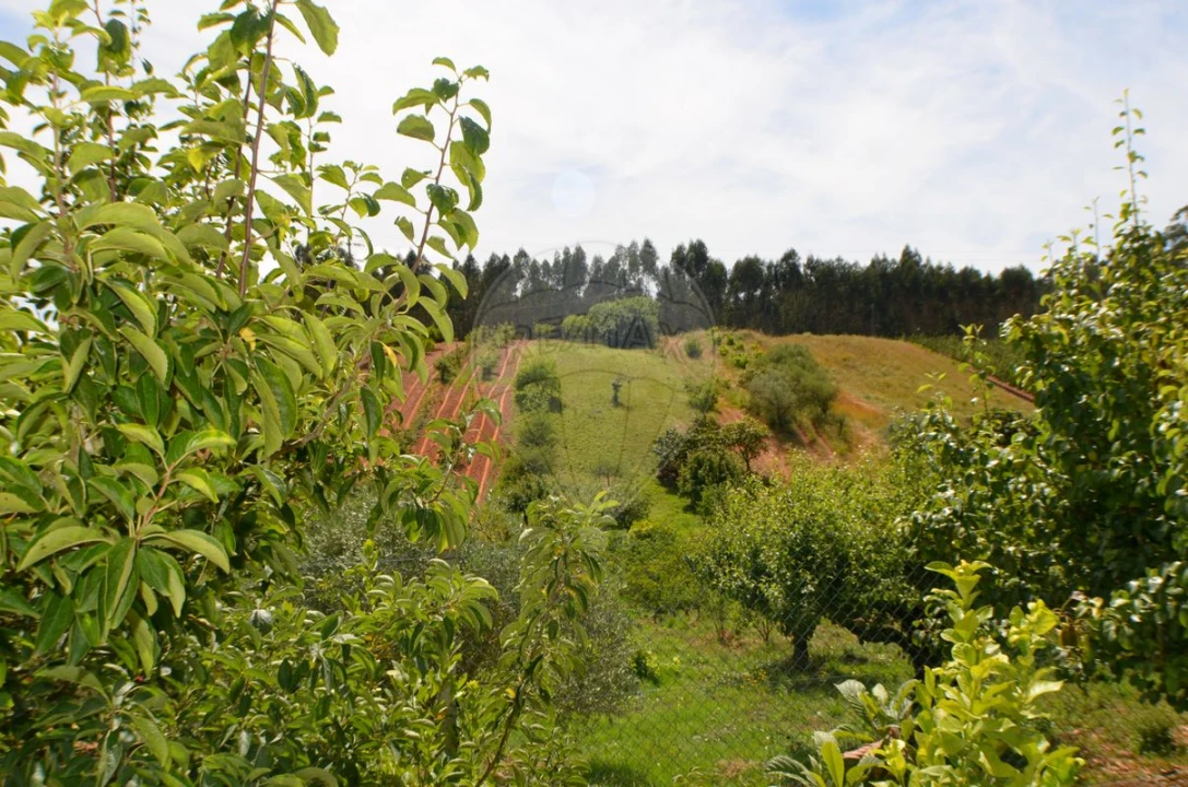 Moradia T4 para Venda em Alguber Foto 16