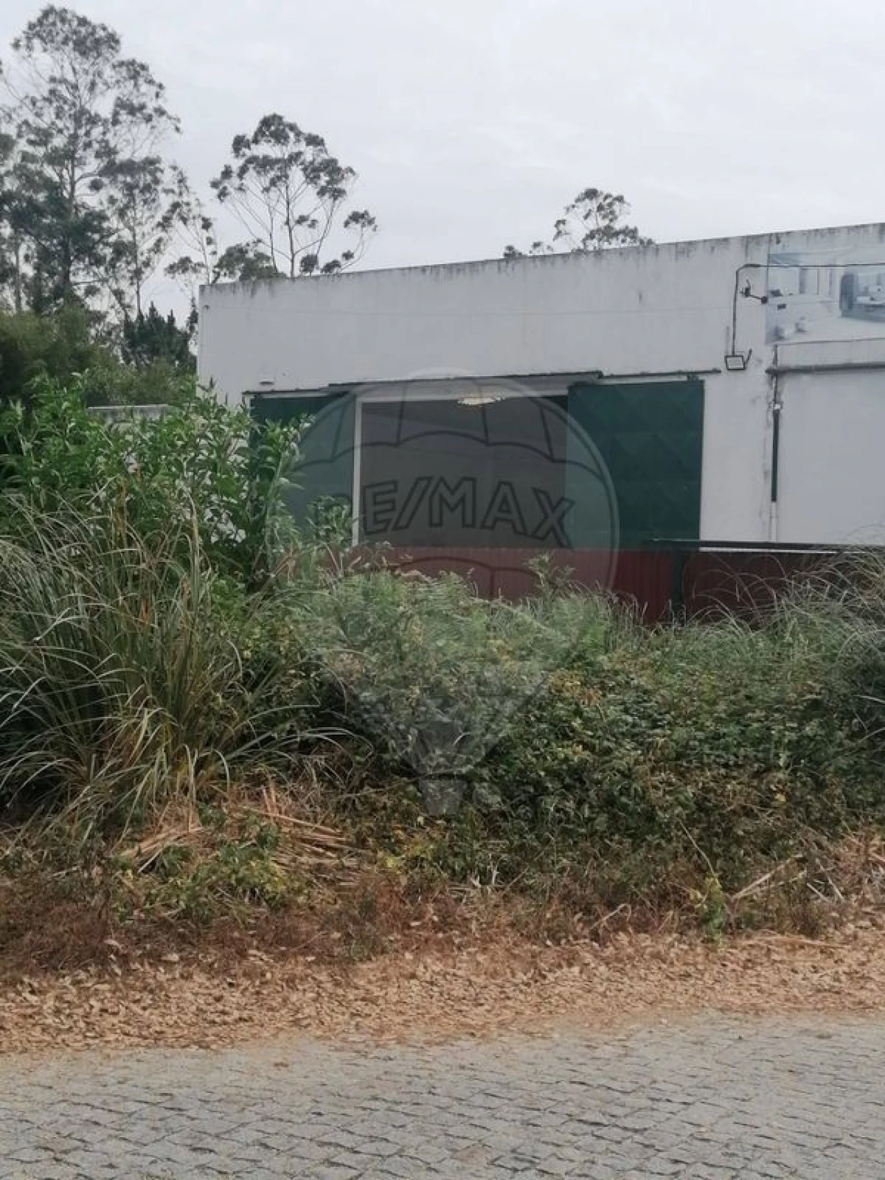 Armazém para Venda em Rio Meão Foto 6