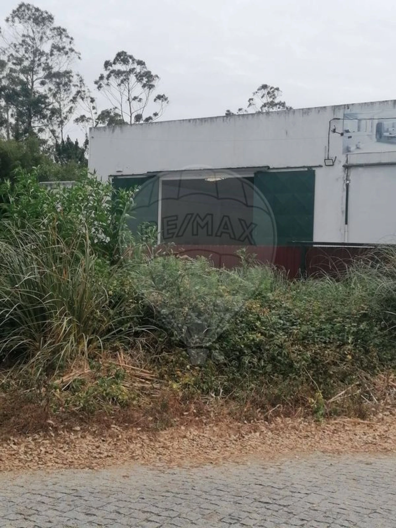 Armazém para Venda em Rio Meão Foto 5