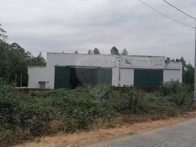 Armazém para Venda em Rio Meão Foto 2