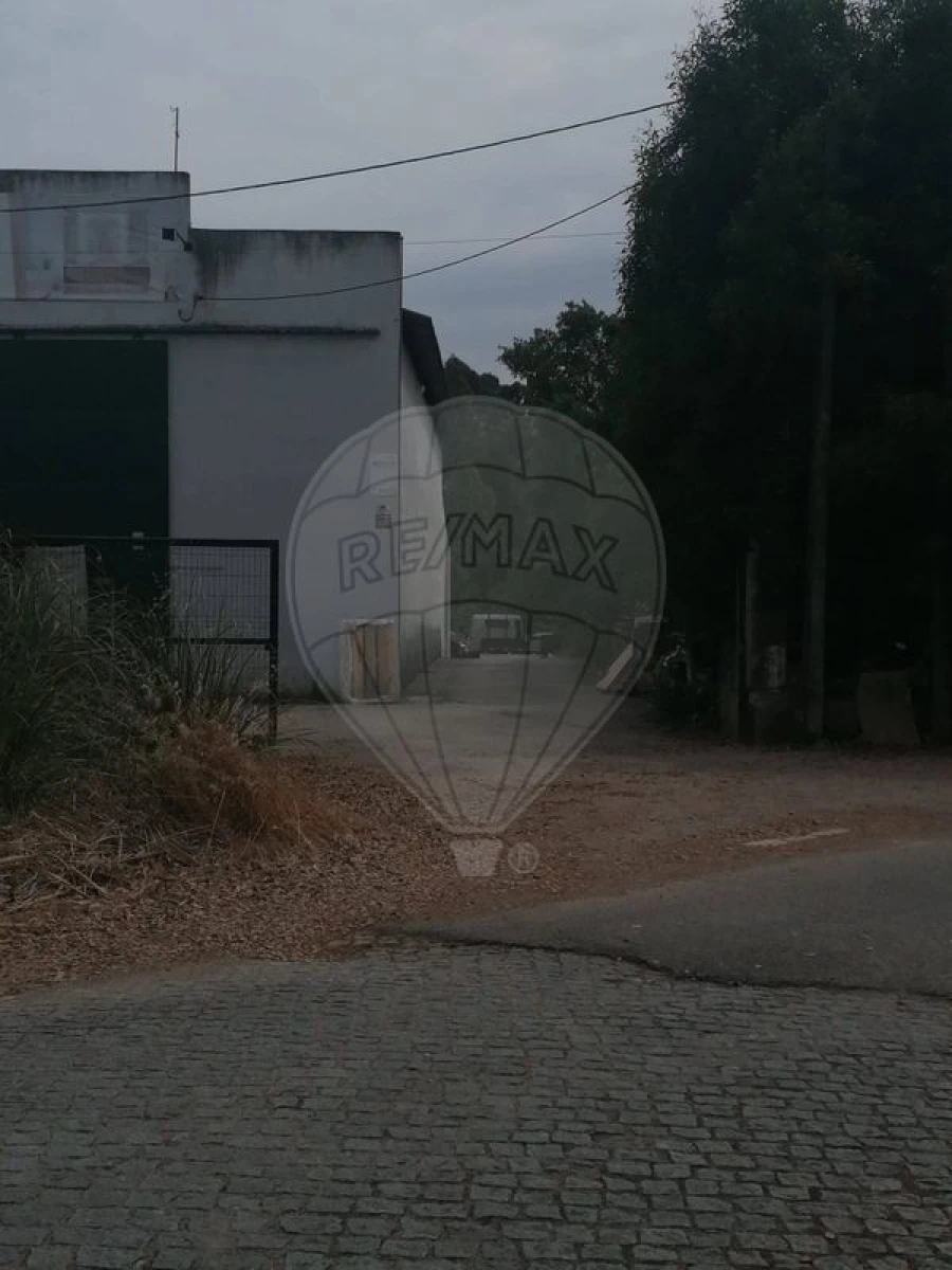 Armazém para Venda em Rio Meão Foto 5