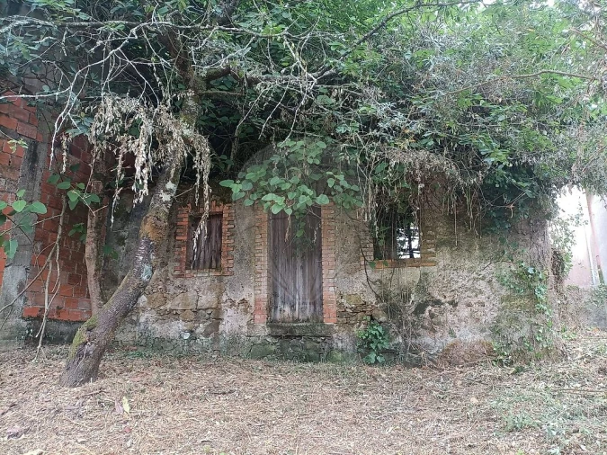 Moradia T2 para Venda em Eiras e São Paulo de Frades Foto 4