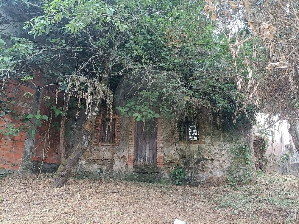 Moradia T2 para Venda em Eiras e São Paulo de Frades Foto 1