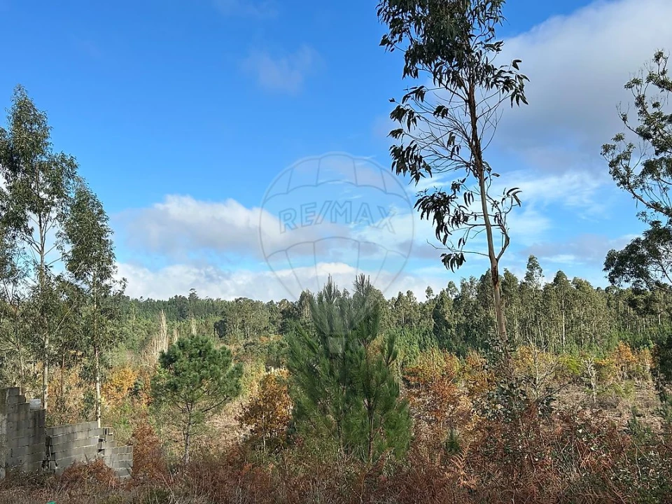 Terreno para Venda em Lousã e Vilarinho Foto 4