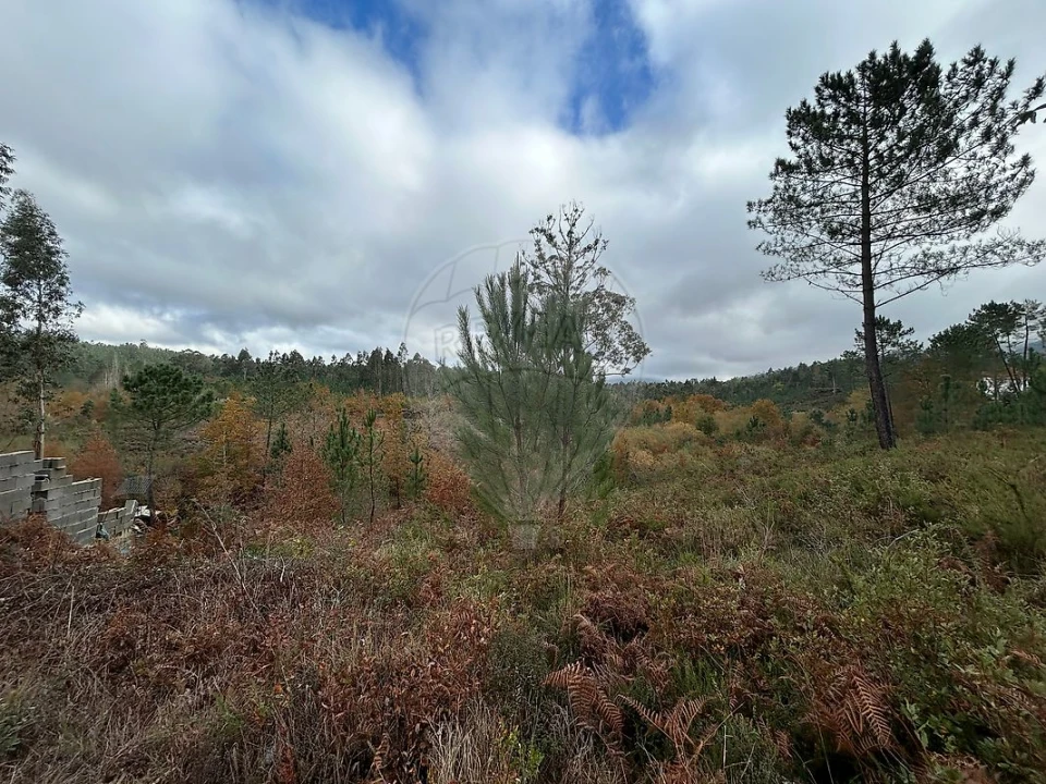 Terreno para Venda em Lousã e Vilarinho Foto 7