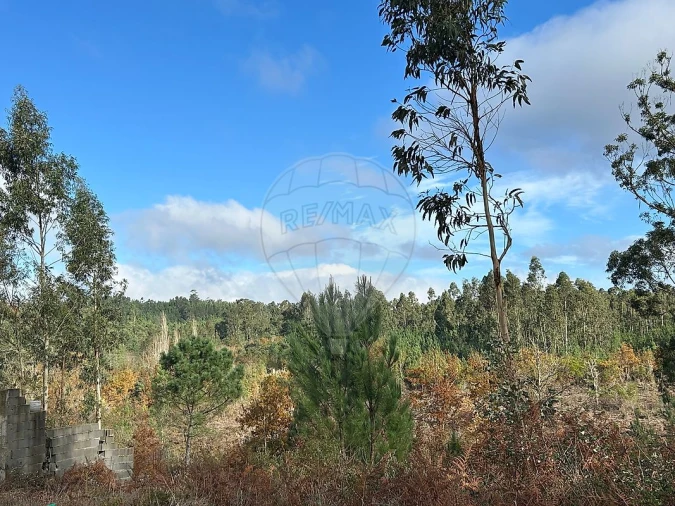 Terreno para Venda em Lousã e Vilarinho Foto 4