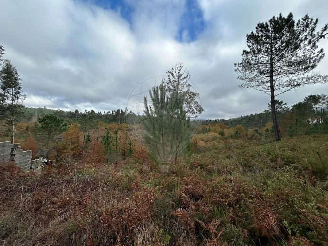 Terreno para Venda em Lousã e Vilarinho Foto 7