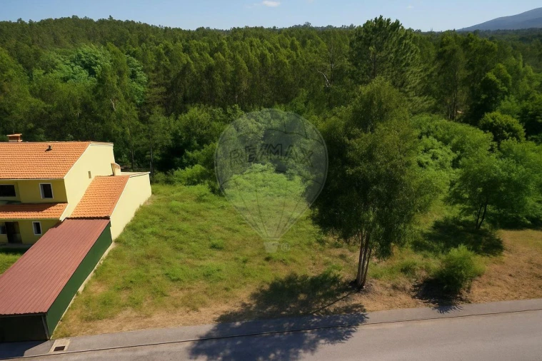 Terreno para Venda em Lousã e Vilarinho Foto 2