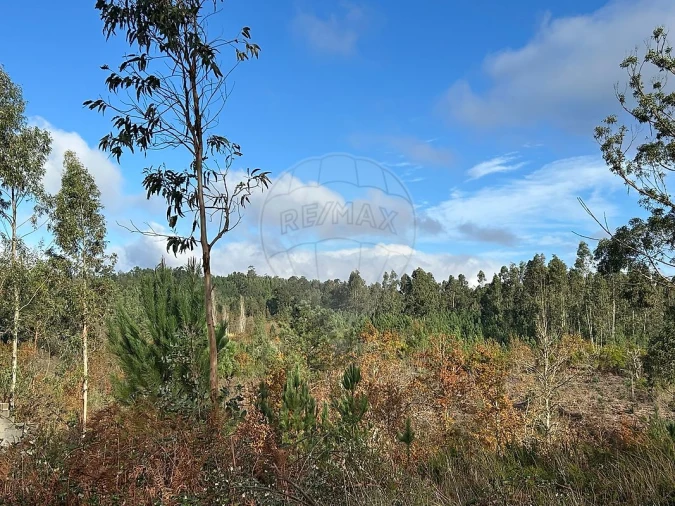 Terreno para Venda em Lousã e Vilarinho Foto 3