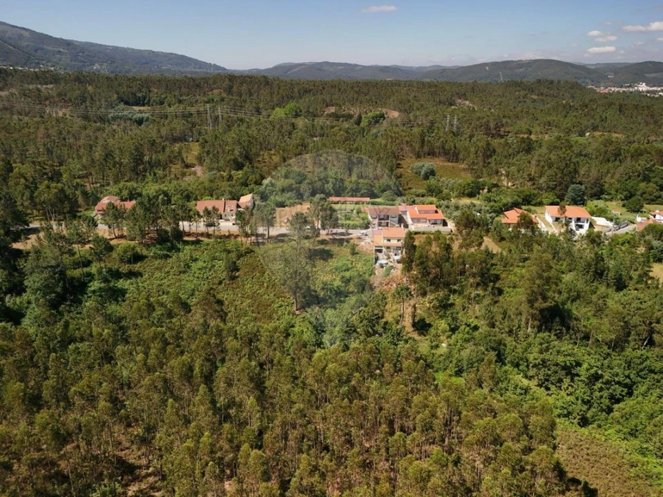 Terreno para Venda em Lousã e Vilarinho Foto 8