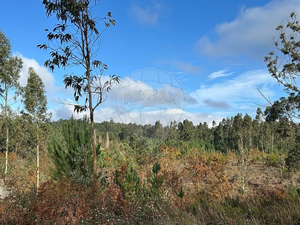 Terreno para Venda em Lousã e Vilarinho Foto 3