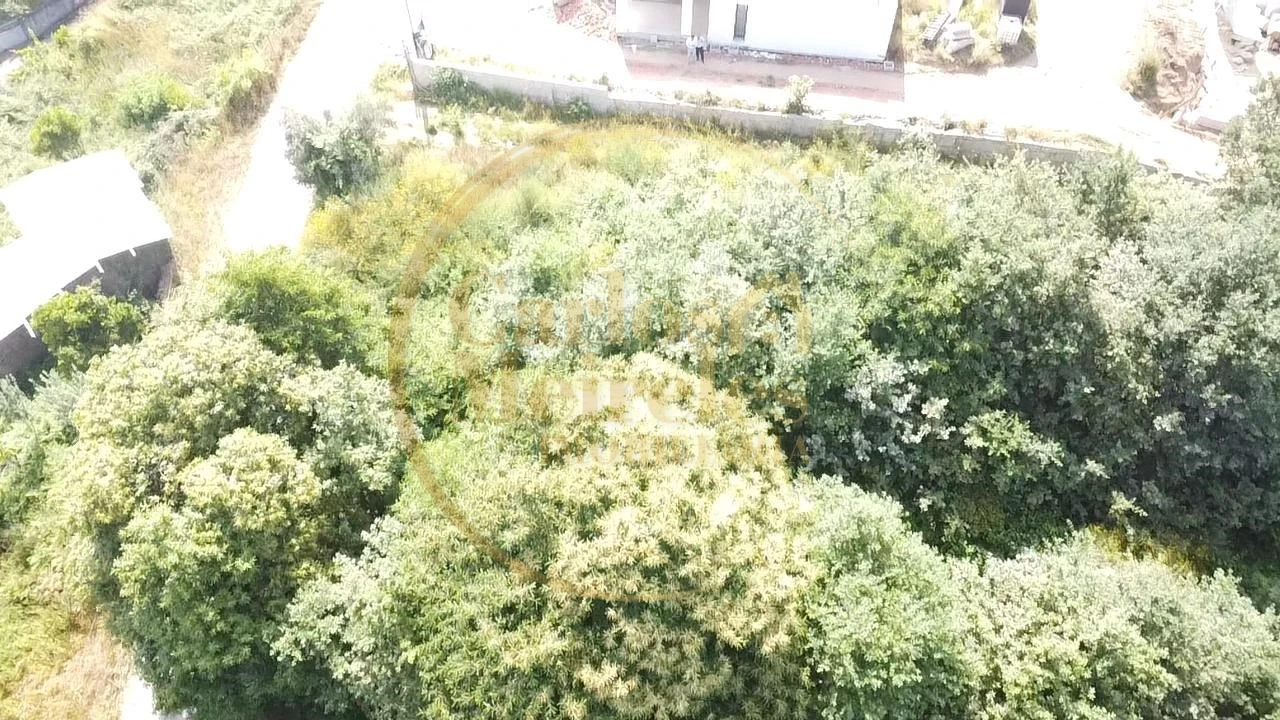 Terreno para Venda em Ribeira do Neiva Foto 1