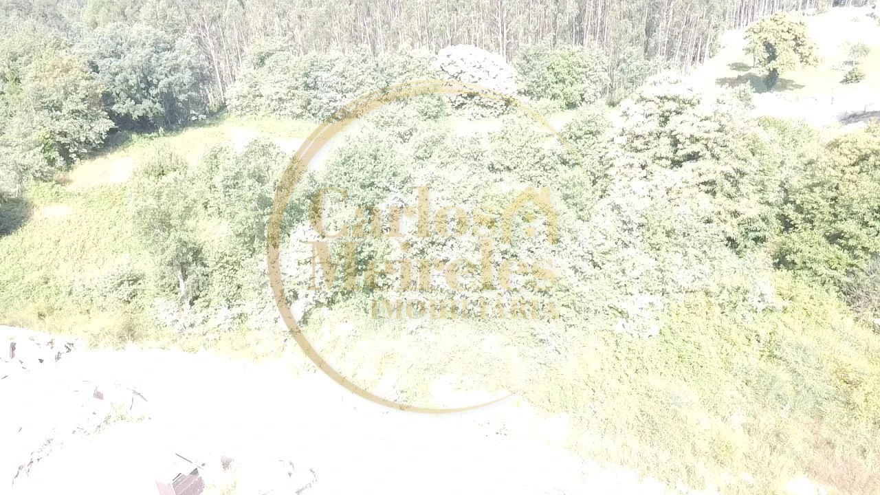 Terreno para Venda em Ribeira do Neiva Foto 2