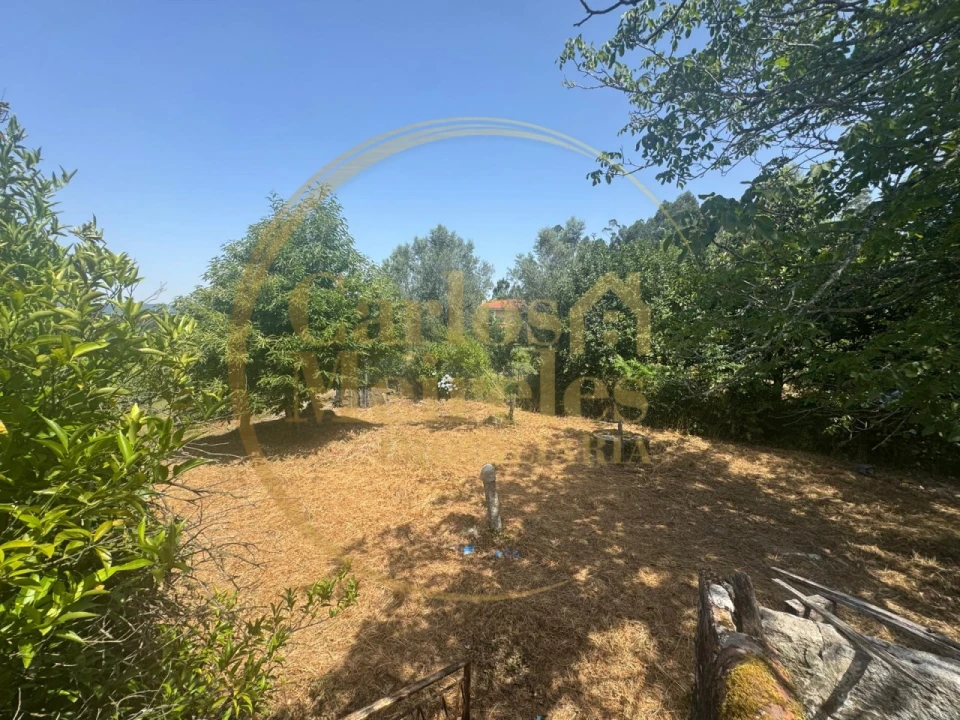 Quinta T2 para Venda em Ardegão, Freixo e Mato Foto 21