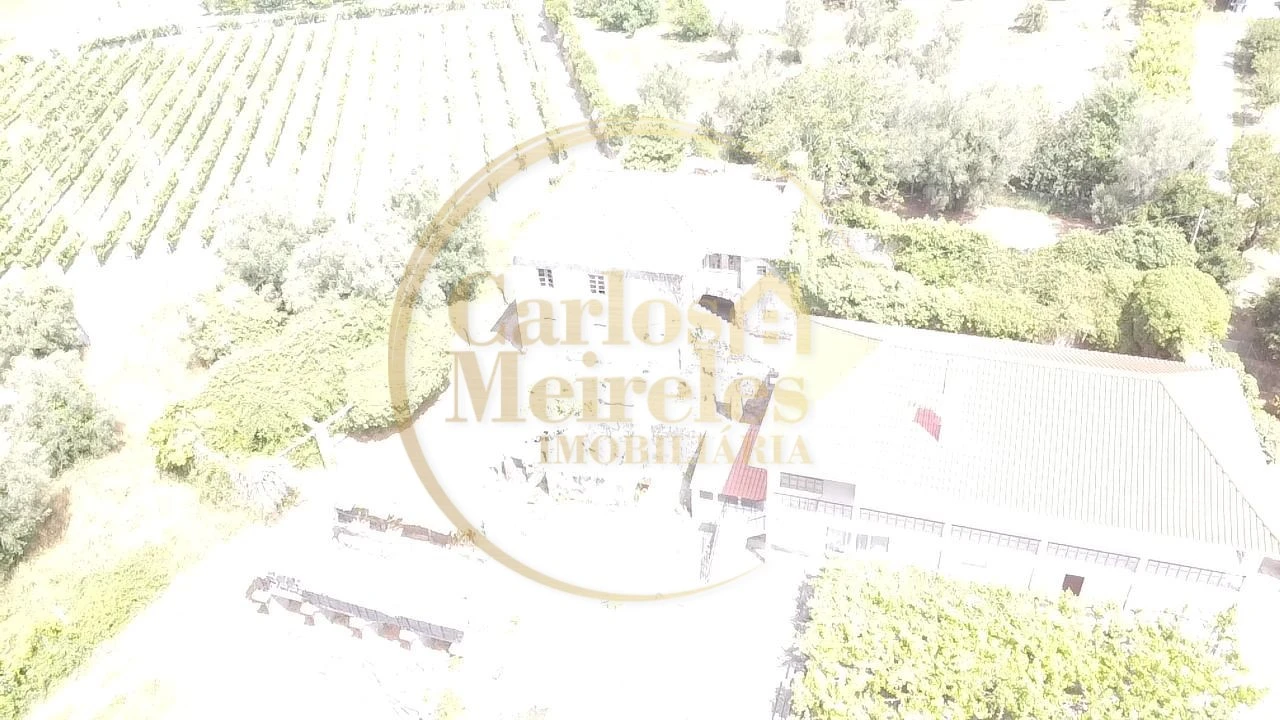 Quinta T2 para Venda em Ardegão, Freixo e Mato Foto 45