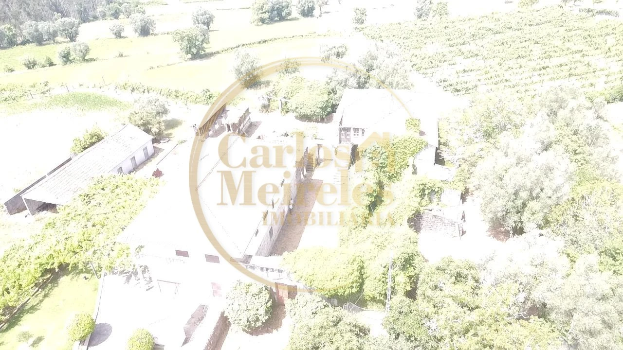 Quinta T2 para Venda em Ardegão, Freixo e Mato Foto 50