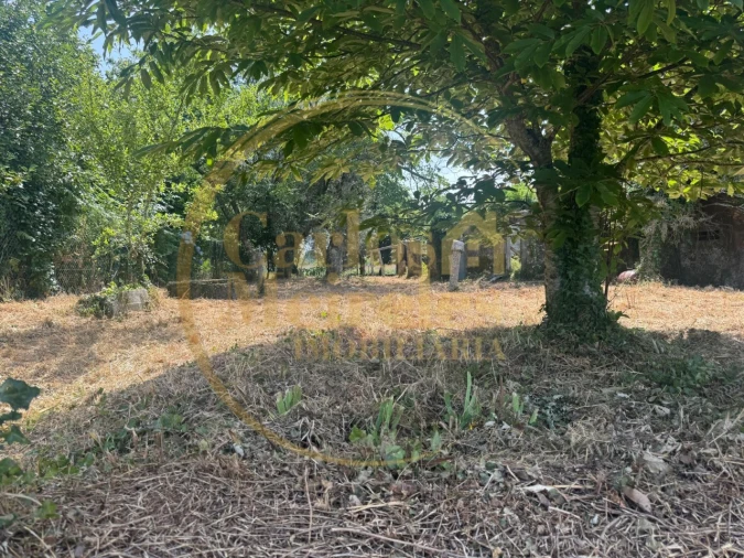 Quinta T2 para Venda em Ardegão, Freixo e Mato Foto 23