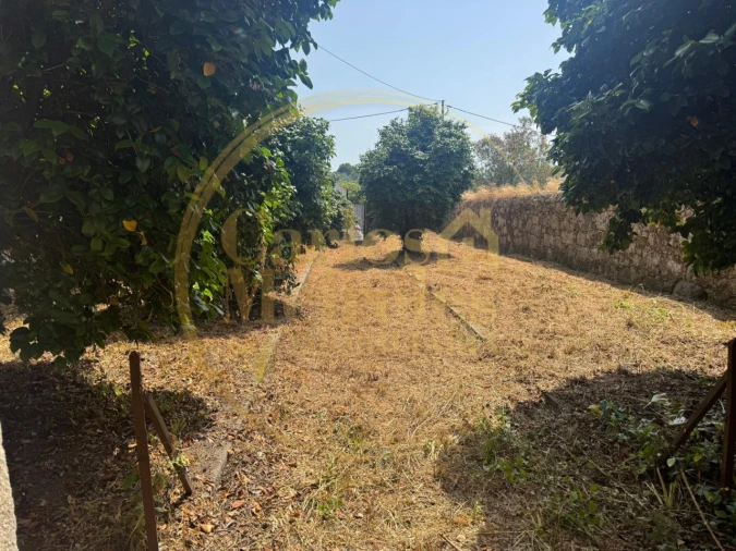 Quinta T2 para Venda em Ardegão, Freixo e Mato Foto 30