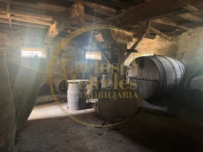 Quinta T2 para Venda em Ardegão, Freixo e Mato Foto 38